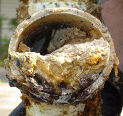 Slowed Business And Your Grease Trap: Potential Downfalls to Look Out For During Times of Reduced Foot Traffic