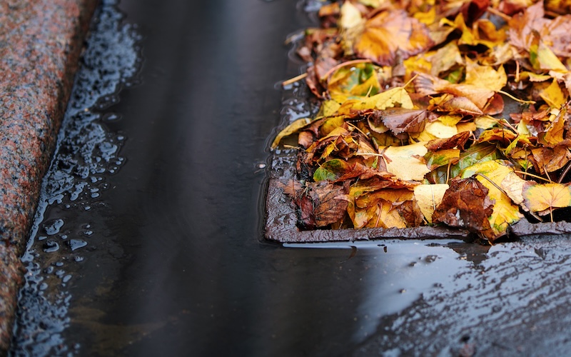 Autumn foliage clogged storm drain, sewer. Leafs clogs water drainage. Street water drain blocked with leaves. Debris blocks rainwater runoff, clogged sewer flooding across road after rain